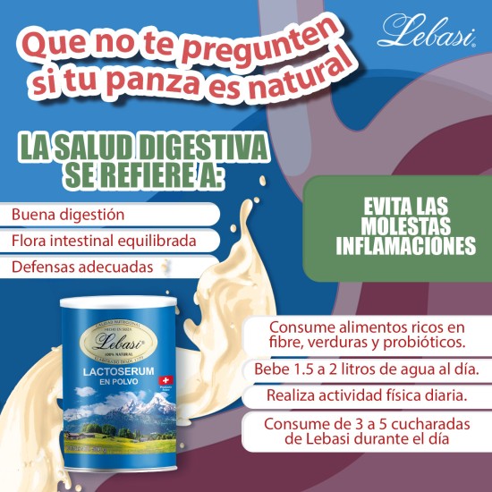 Lactoserum Suizo en Polvo Lebasi